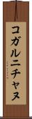 コガルニチャヌ Scroll