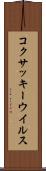 コクサッキーウイルス Scroll