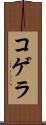 コゲラ Scroll