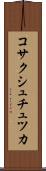 コサクシュチュツカ Scroll