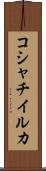 コシャチイルカ Scroll