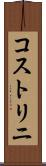コストリニ Scroll