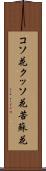 コソ花 Scroll