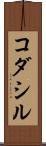 コダシル Scroll