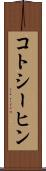 コトシーヒン Scroll