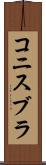 コニスブラ Scroll