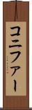 コニファー Scroll