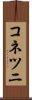 コネツニ Scroll