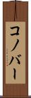 コノバー Scroll