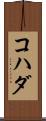 コハダ Scroll