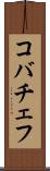コバチェフ Scroll