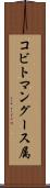 コビトマングース属 Scroll