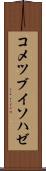 コメツブイソハゼ Scroll