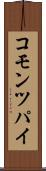 コモン・ツパイ Scroll