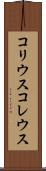 コリウス Scroll