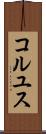コルユス Scroll