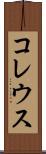 コレウス Scroll