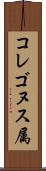コレゴヌス属 Scroll