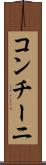 コンチーニ Scroll