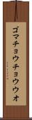 ゴマチョウチョウウオ Scroll