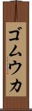 ゴムウカ Scroll