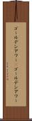ゴールデンアワー(P) Scroll
