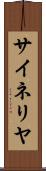 サイネリヤ Scroll