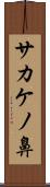 サカケノ鼻 Scroll