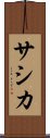 Sashika Scroll
