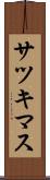 サツキマス Scroll