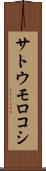 サトウモロコシ Scroll
