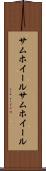 サムホイール Scroll