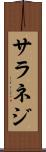 サラネジ Scroll