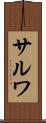 Salwa Scroll