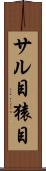サル目 Scroll