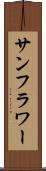 サンフラワー Scroll