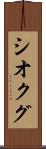 シオクグ Scroll