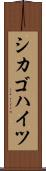 シカゴハイツ Scroll