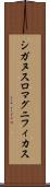 シガヌスロマグニフィカス Scroll
