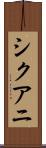 シクアニ Scroll