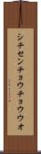 シチセンチョウチョウウオ Scroll