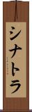 シナトラ Scroll