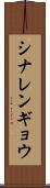 シナレンギョウ Scroll
