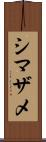 シマザメ Scroll