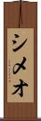 Simeo Scroll