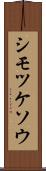 シモツケソウ Scroll