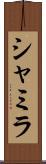 Shamila Scroll
