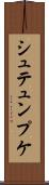 シュテュンプケ Scroll