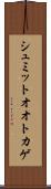 シュミットオオトカゲ Scroll
