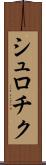 シュロチク Scroll